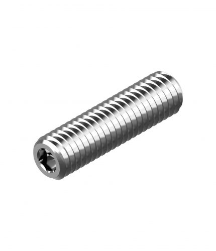 WKRĘT DOCISKOWY DIN 913 M 10 X 25 A2